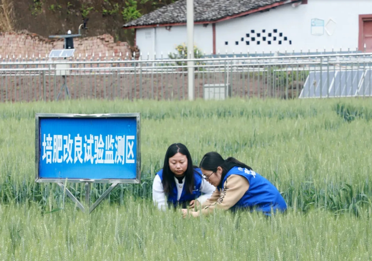 南方农村报：四川美丰累计投入近1500万元建成5所科技小院