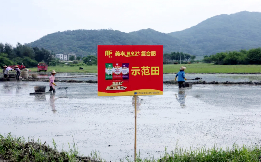 南方农村报：美丰发力，阳江宝藏“明珠”丰收更轻松